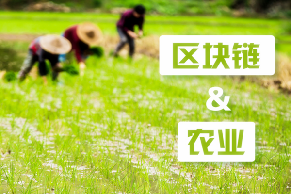 我国农业现状怎么样？农业区块链应用案例一览