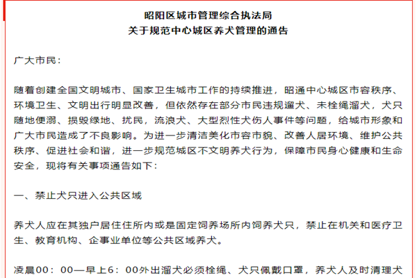 最严遛狗令限时凌晨还要给狗戴口罩！最严遛狗令全文一览