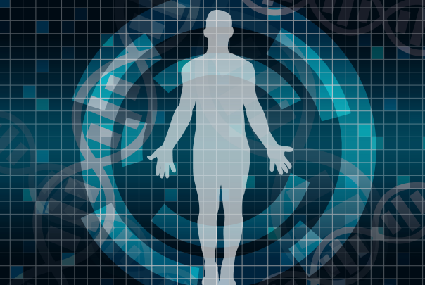 什么是数字公民、数字公民教育？数字公民九大要素解读