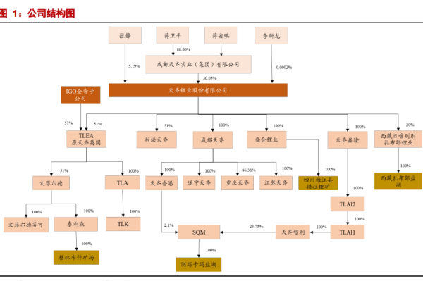 天齐锂业股份有限公司（天齐锂业）