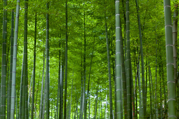 Kantar BrandZ：2022年最具价值中国品牌100强报告.pdf(附下载)