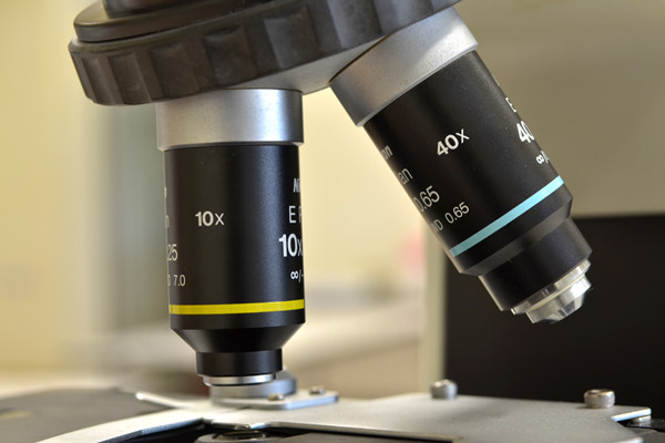 什么是生物经济？生物经济的特征是什么样的？