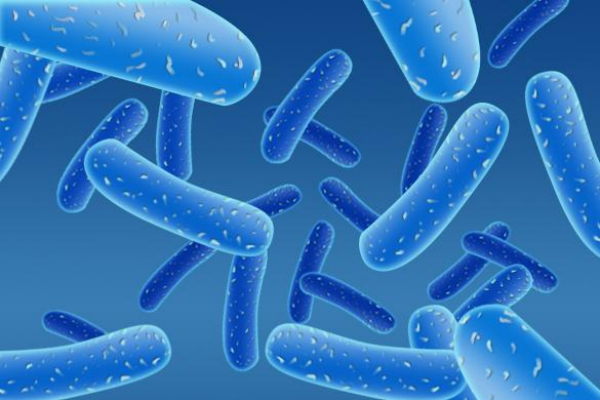 益生菌生产企业有哪些？国内外益生菌龙头企业一览