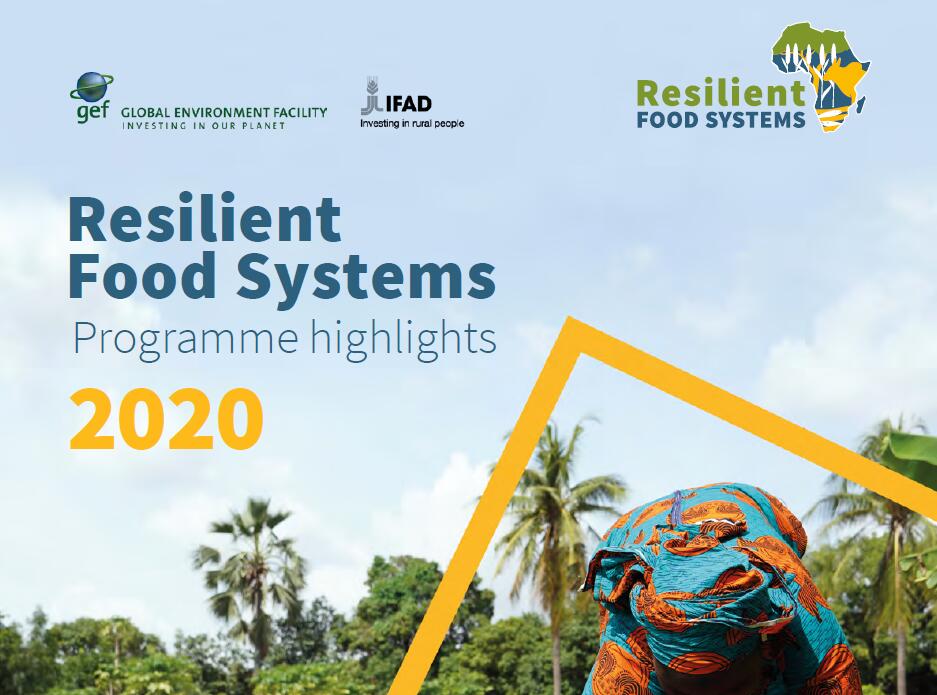 抗风险粮食系统国家项目是什么？农业土地复垦规划进展如何？