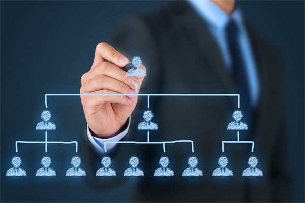 什么是组织管理？内容包括？作用分析