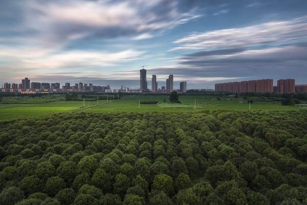 什么是垂直农业？优势有哪些？与立体农业的关系梳理