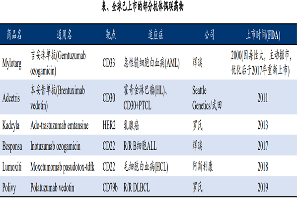 什么是抗体偶联药物？已上市的抗体偶联药物有哪些？