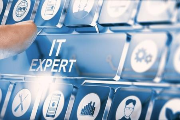 艾意凯咨询（L.E.K.）