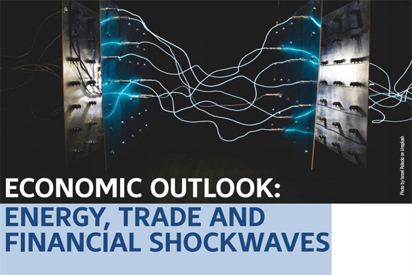 Allianz：2022年全球经济展望报告-能源、贸易和金融冲击.pdf(附下载)