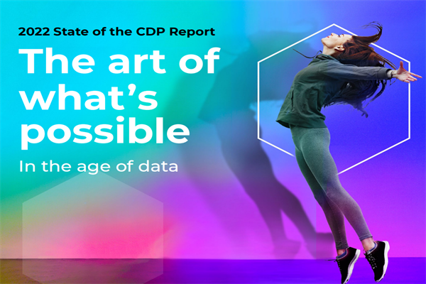 TEALIUM：2022年客户数据平台报告.pdf(附下载)