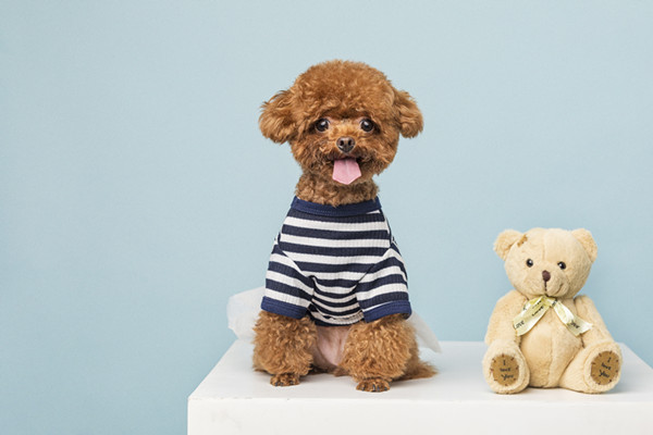 中国宠物市场细分统计、消费者画像分析