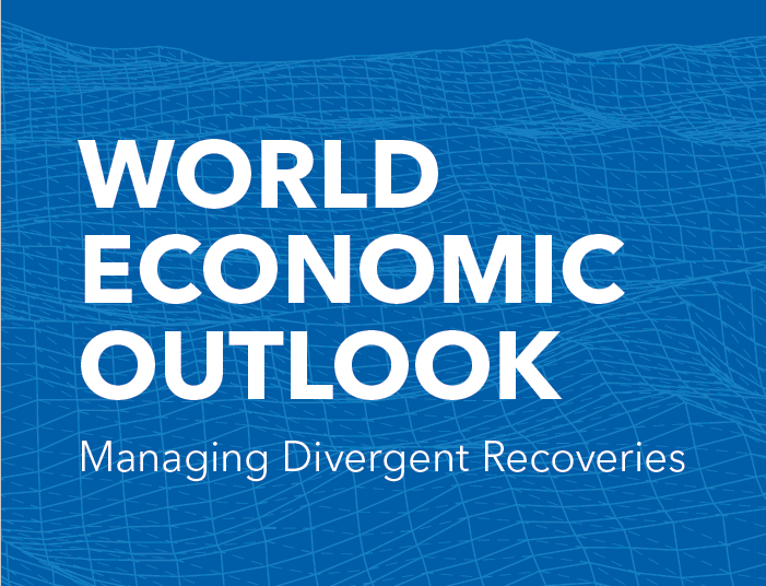 国际货币基金组织：接种疫苗和治疗有助于减缓病毒的发展