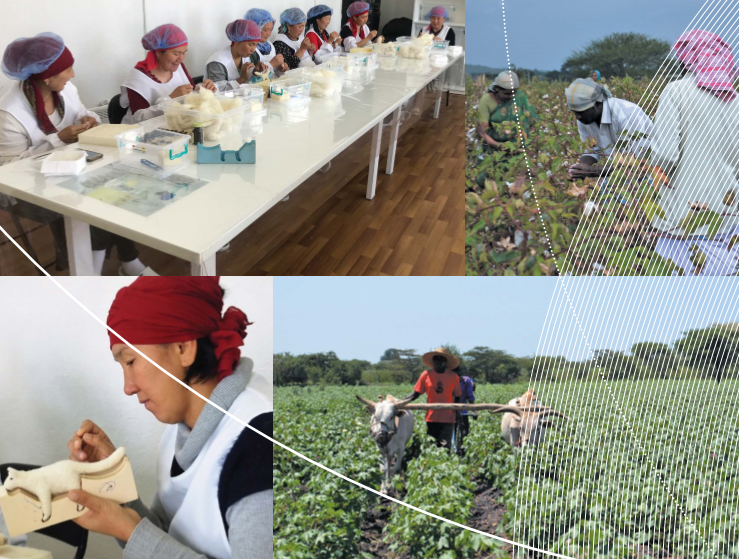 国际金融中心：企业与小规模生产商合作面临的挑战与解决方案