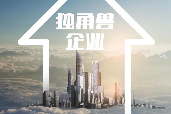 独角兽企业