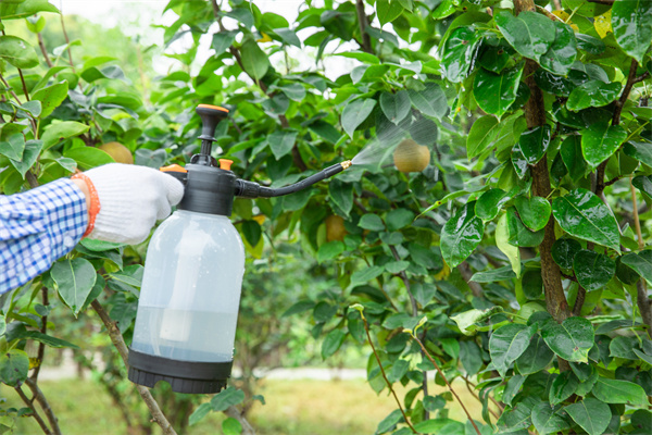 全球农化企业排名,TOP10企业一览