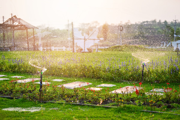 什么是农业生态园？类型有哪些？怎么规划？