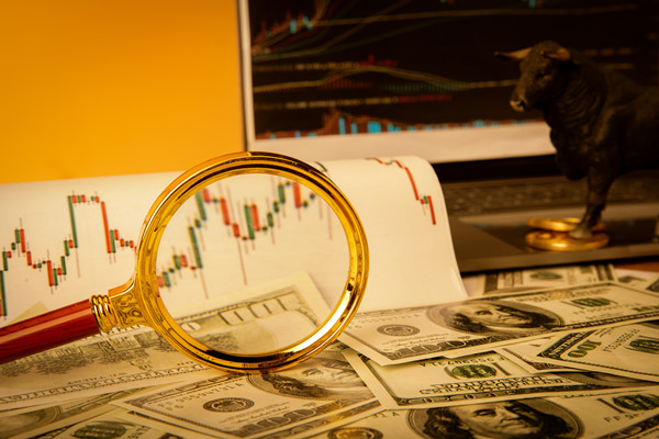 股权融资是什么意思？种类及流程介绍