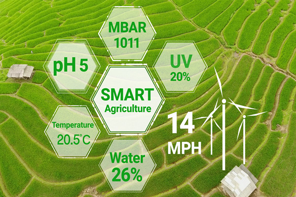 现代产业体系包括哪些？现代农业产业园开发模式一览