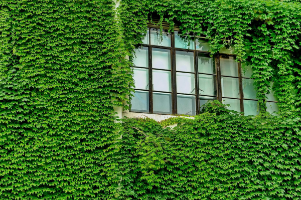 产业数字化与数字产业化的关系是什么？作用及背景解析