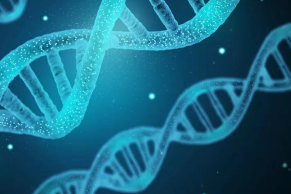 第三方检测行业现状如何？发展趋势怎么样？