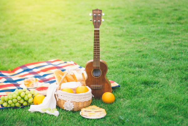 2022中国人造草坪行业现状与痛点分析，发展历程梳理