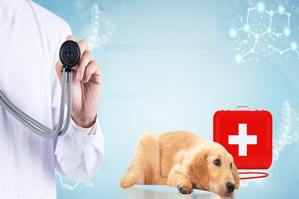 宠物医疗市场规模及平板检测器出货量分析