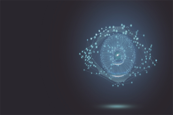 2022国内虹膜识别公司排名TOP10