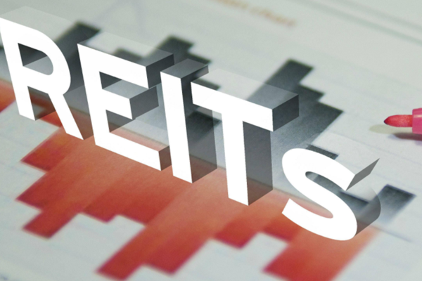 公募REITs询价公告哪里找？