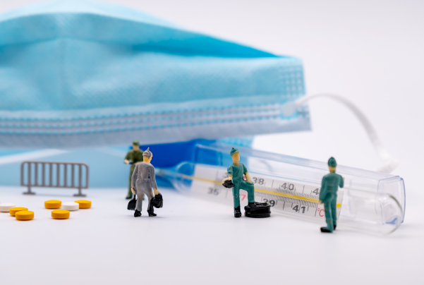 什么是转基因育种？技术步骤、盈利模式与产业链梳理