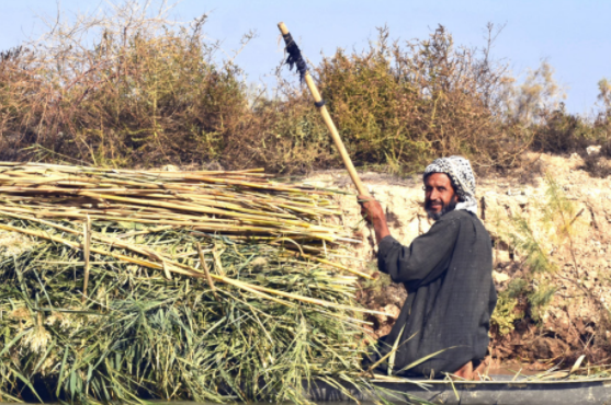 联合国开发计划署：新冠疫情对伊拉克环境可持续性有什么影响？