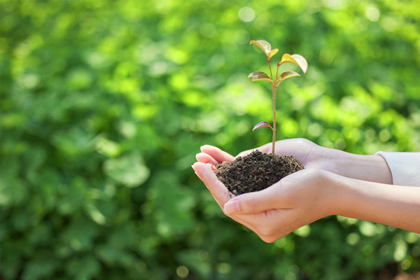 什么是环保设备？环保设备新技术应用有哪些？