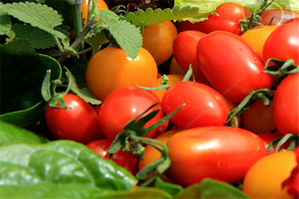 2022年中国农产品进出口数据，数据统计（1-6月）