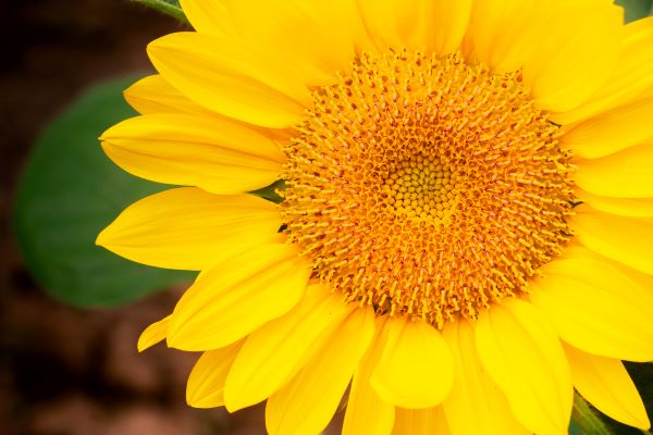 复合铜箔是什么？与铜箔有何区别？作用介绍