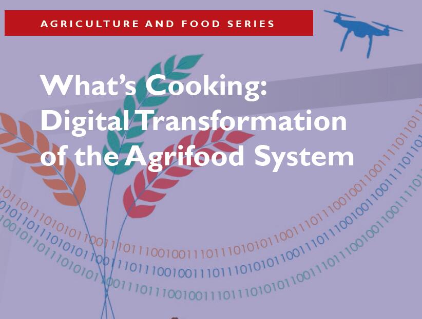 世界银行集团：如何提高农业数字技术效率？