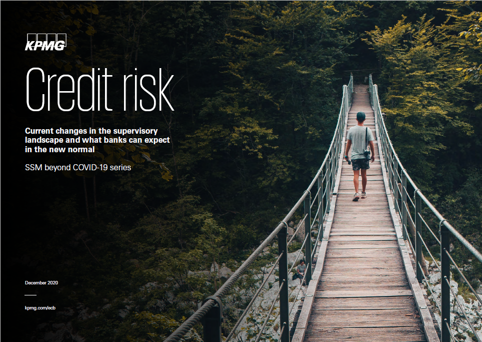 毕马威（KPMG）：新常态下需加强信贷风险管理