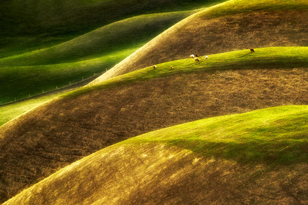 什么是点状供地？经典案例分析