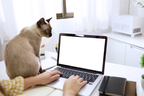 安永(EY)：2022年解码数字家庭研究报告.pdf(附下载)