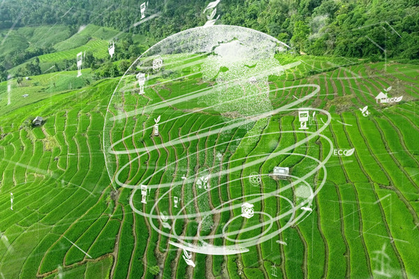 什么是功能农业？是干什么的？前景如何?