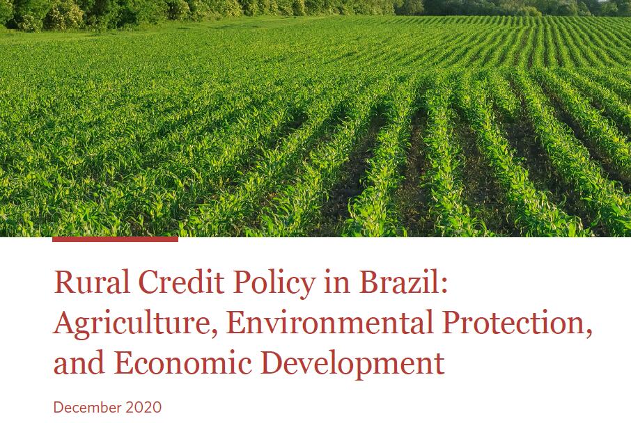 2020年巴西农村信贷政策报告 巴西农村信贷预算为330亿雷亚尔