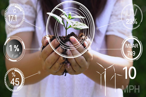 2021数字农业政策有哪些？相关解读一览