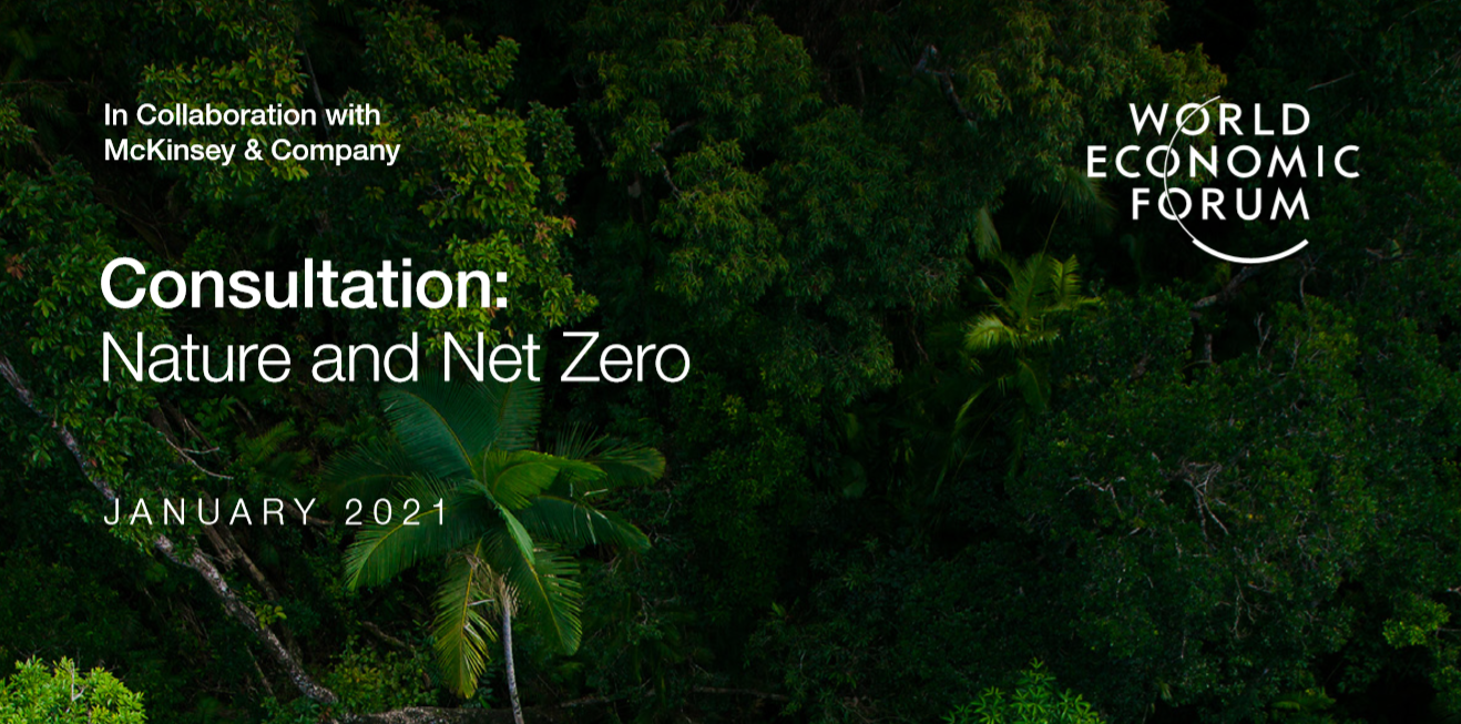 世界经济论坛：各国自然气候解决方案情况报告