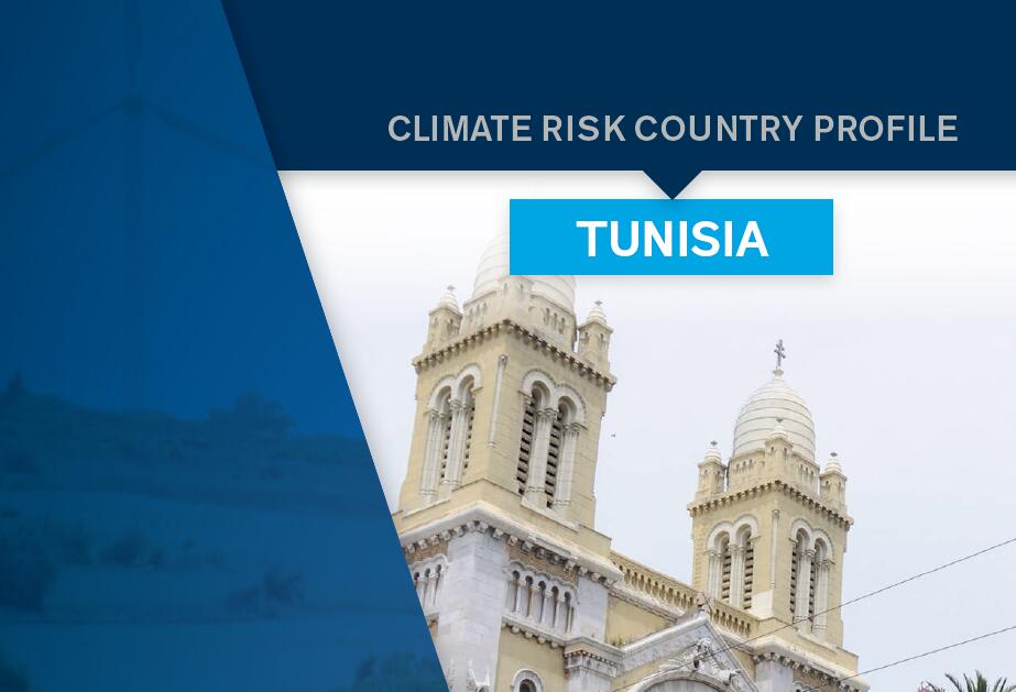 突尼斯气候风险概况报告：突尼斯的年平均气温为19.4°C，月平均气温为28°C