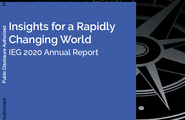 洞见快速变化的世界：IEG 2020年度报告（附下载）