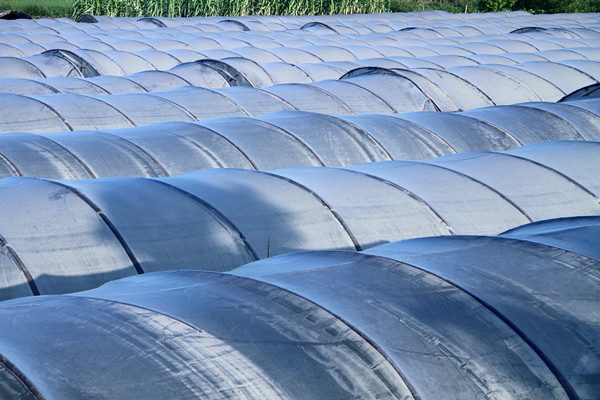 塑料薄膜的种类有哪些？应用特点分析