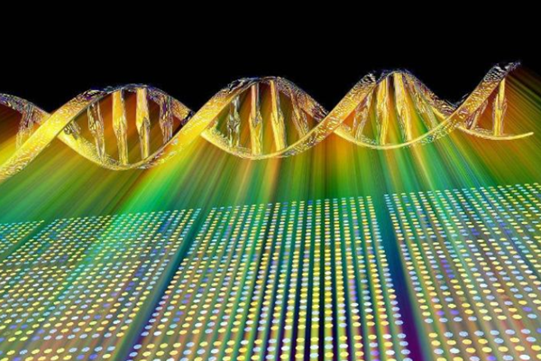 基因芯片是什么意思？应用领域及发展历程介绍