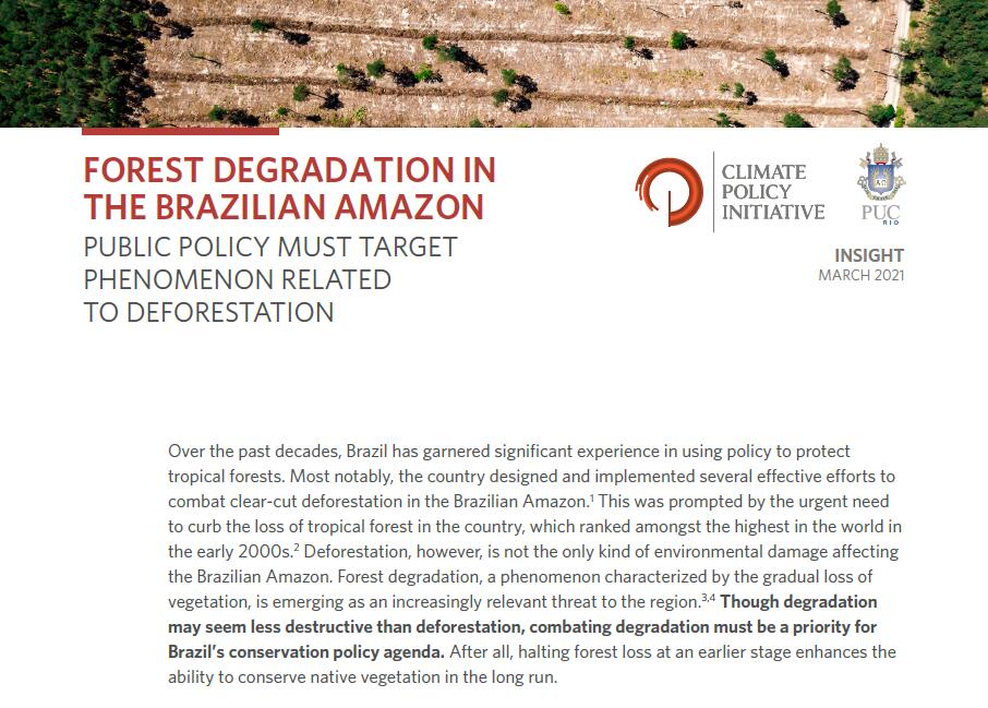 亚马逊地区的森林退化定义是什么？森林最终退化阶段是森林砍伐