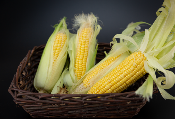 2022年我国玉米深加工行业分析，发展现状概览