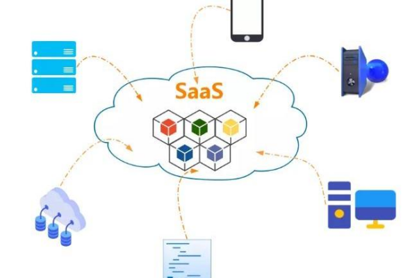 SaaS（软件即服务）