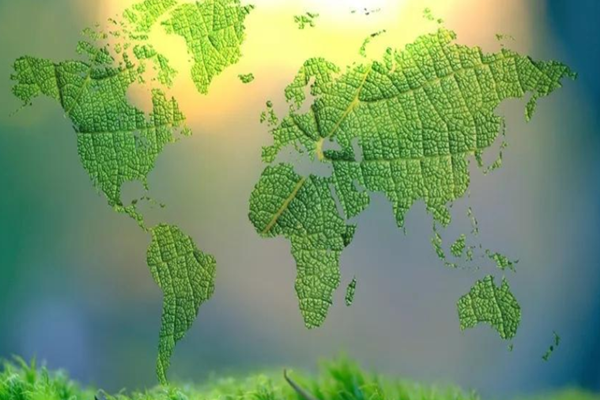 中国碳交易市场现状分析，未来发展趋势如何？