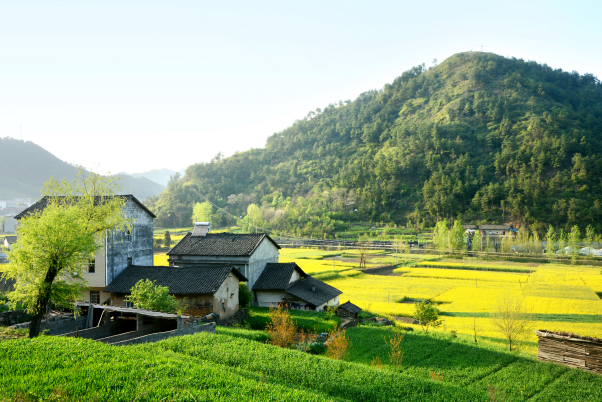 智慧农村是什么？包括哪些内容？我国智慧农村发展现状分析